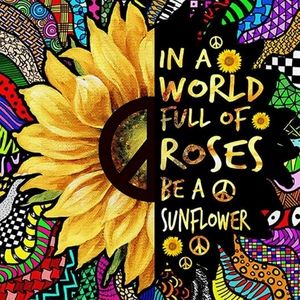 Meet your Posher, Lana